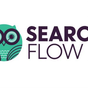 Search Flow