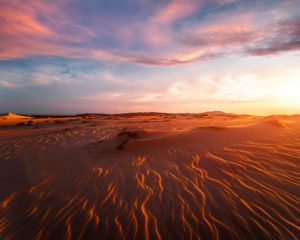 Final Call To Slow Climate Change