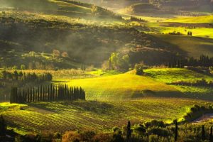 Creating The Single Environmental Report For Better Certainty