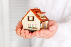 House in human hands