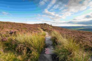 Going the extra 133,000 miles: Search Acumen are first to introduce Public Rights of Way data within property insight platform