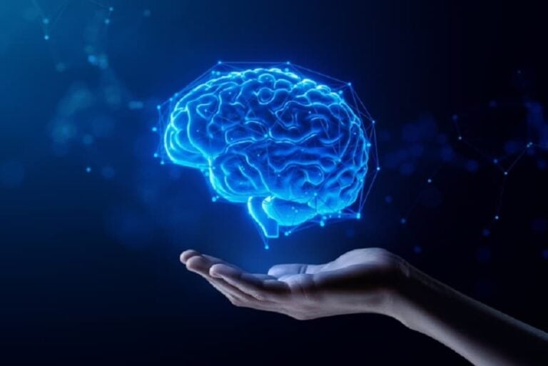 hand holding digital image of human brain