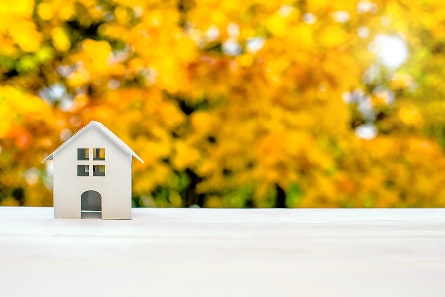 A small white model house in front of a tree full of yellow leaves