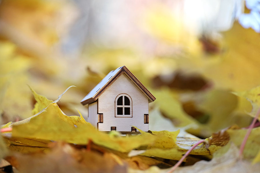 A small model of a wooden house sits on a pile of fallen leaves