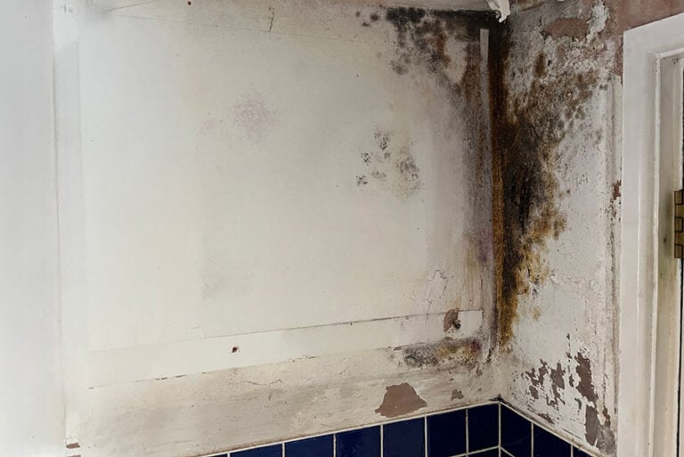 A large patch of black mould on an interior wall of a house