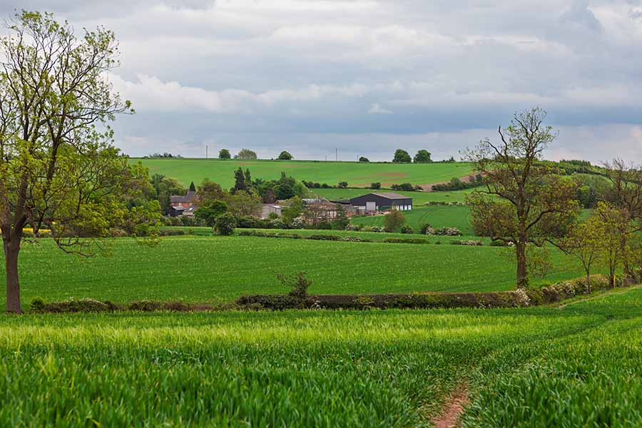 Green fields in Leicestershire