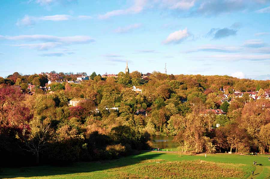 Hampstead Heath