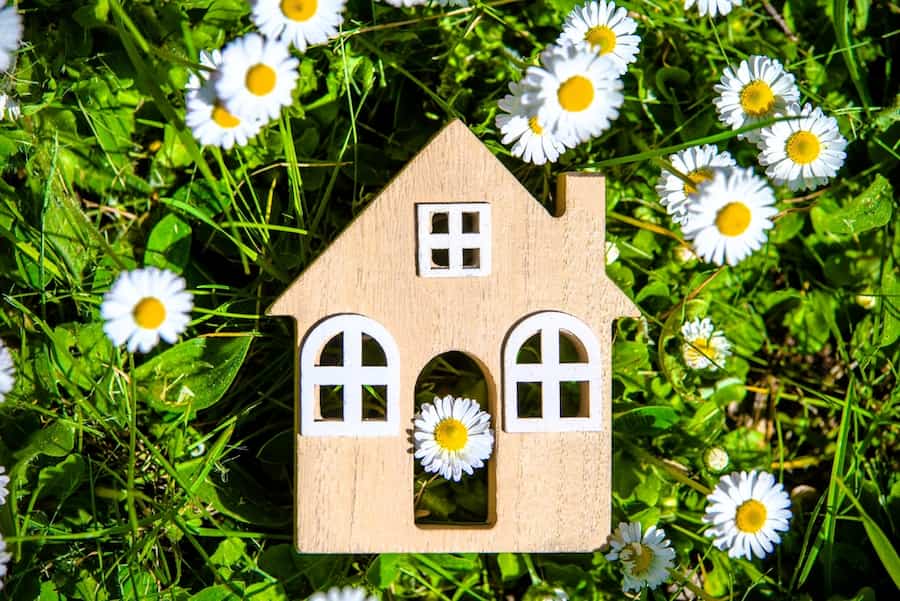 Wooden house depicted in a Spring meadow setting