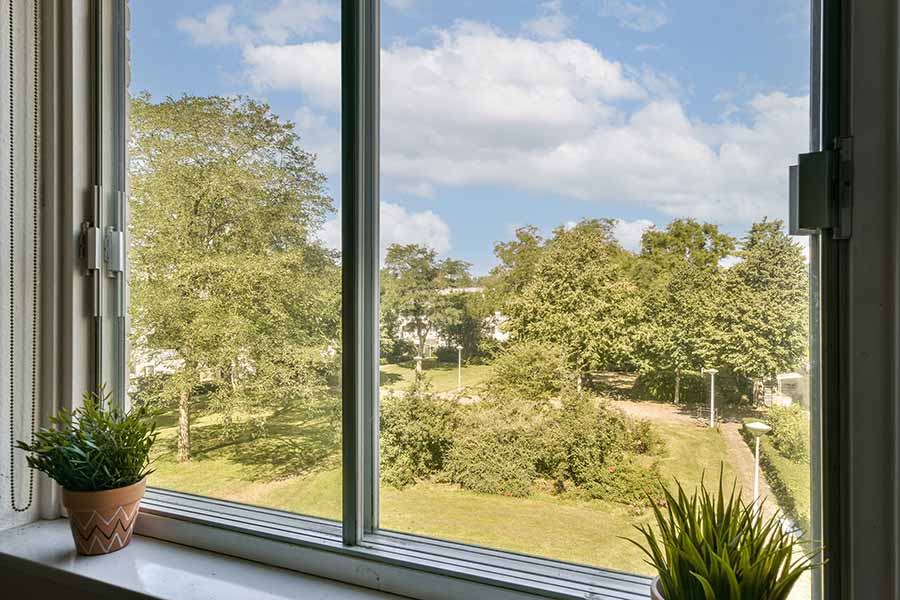 A view of green lawns and trees from a home window