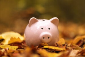 Autumn Budget