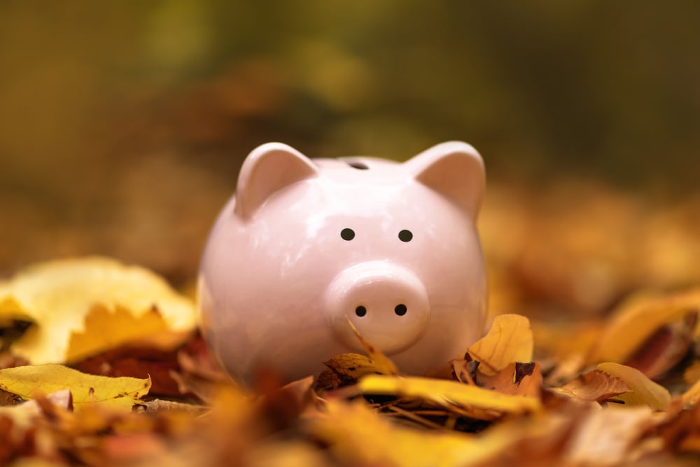 Autumn Budget