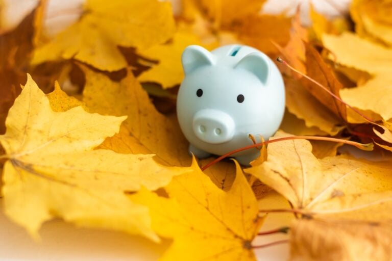 Piggy bank in Autumn leaves